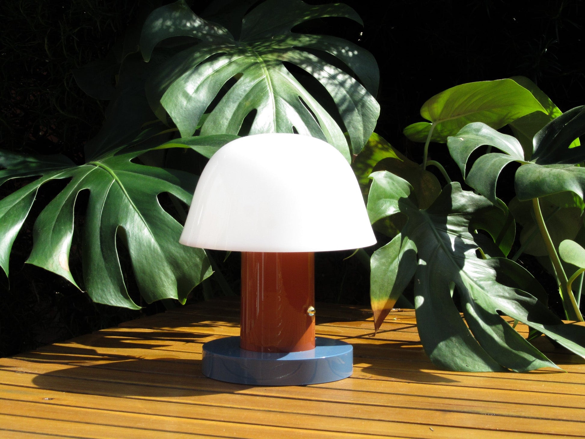 SporeGlow | Shroom Night Light – Plug-In LED Lamp with Warm, Magical Ambience